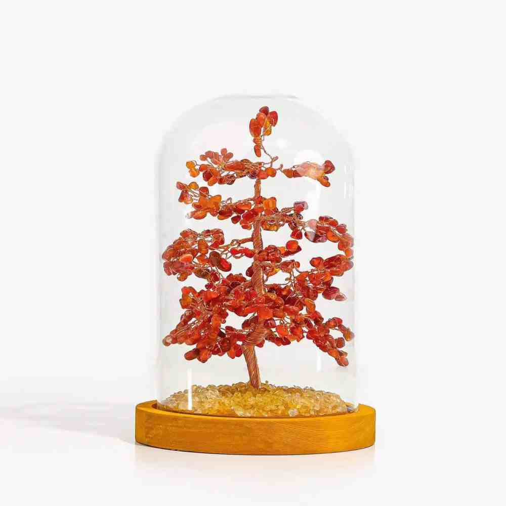 Red Agate Feng Shui Tree | Crystal Money Tree | MQ JEWELS STORE